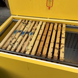 Varroa Behandlung